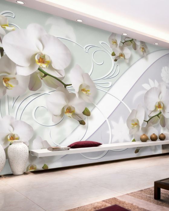 Fototapeta gałęzie białych orchidei na białym tle