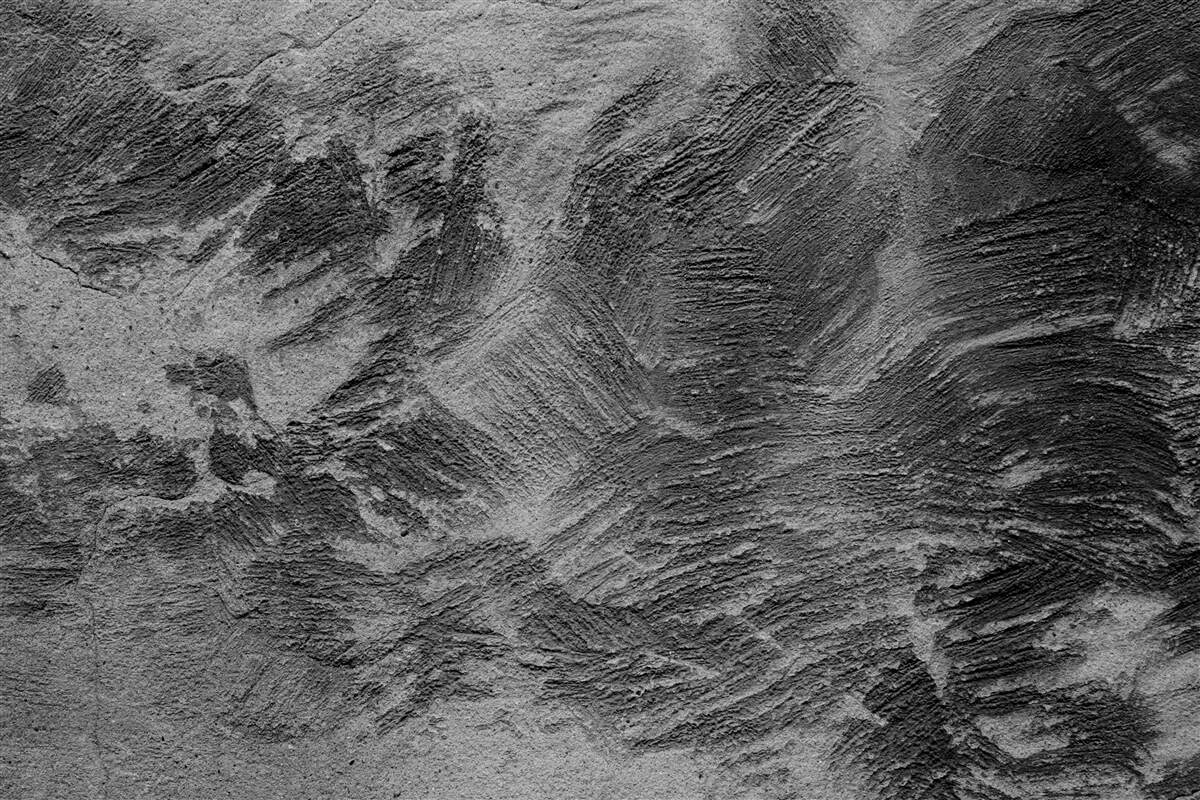 Fototapeta jasne i ciemne paski dekoracyjne