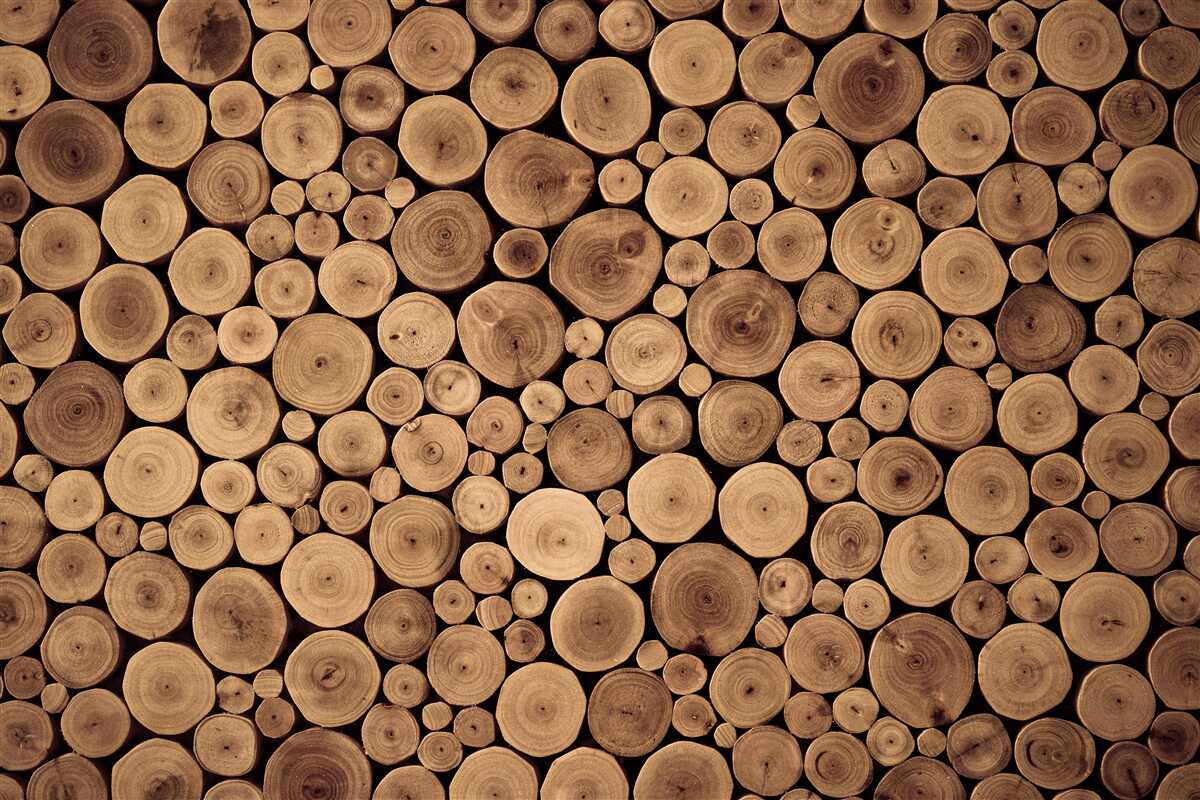 Fototapeta schludne okrągłe kłody drzew