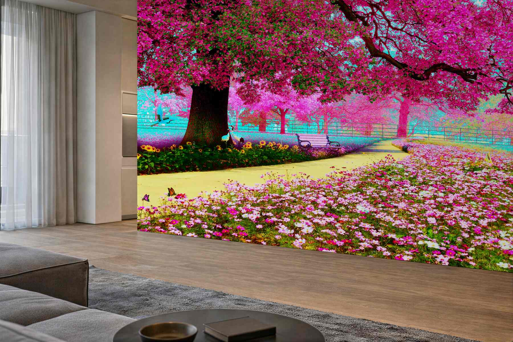 Fototapeta stara kwitnąca różowa sakura