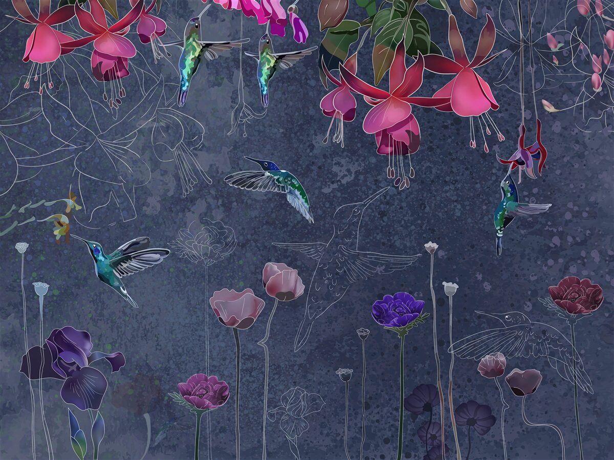 Fototapeta kolibry piją nektar z kwiatów