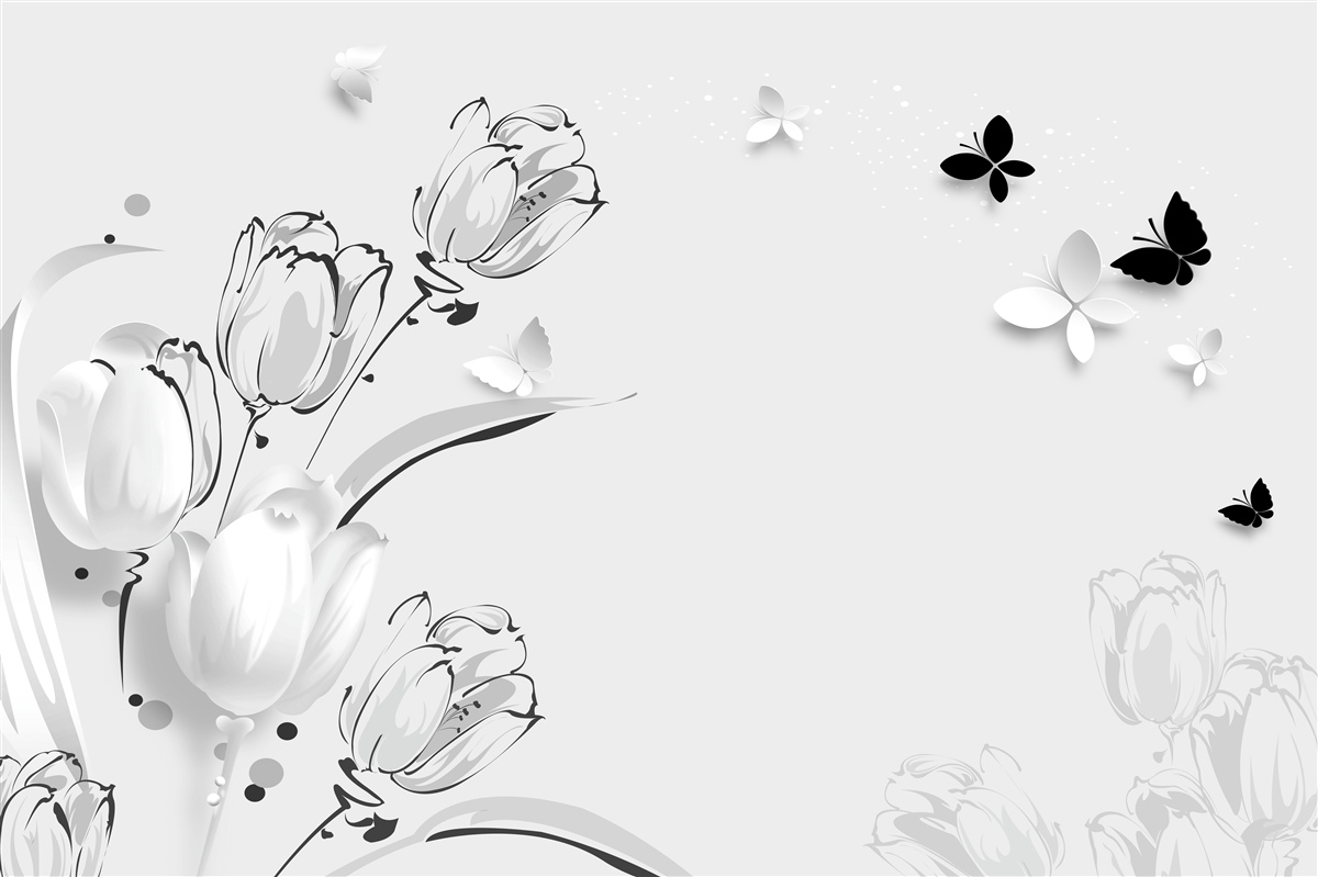 Fototapeta białe tulipany i motyle