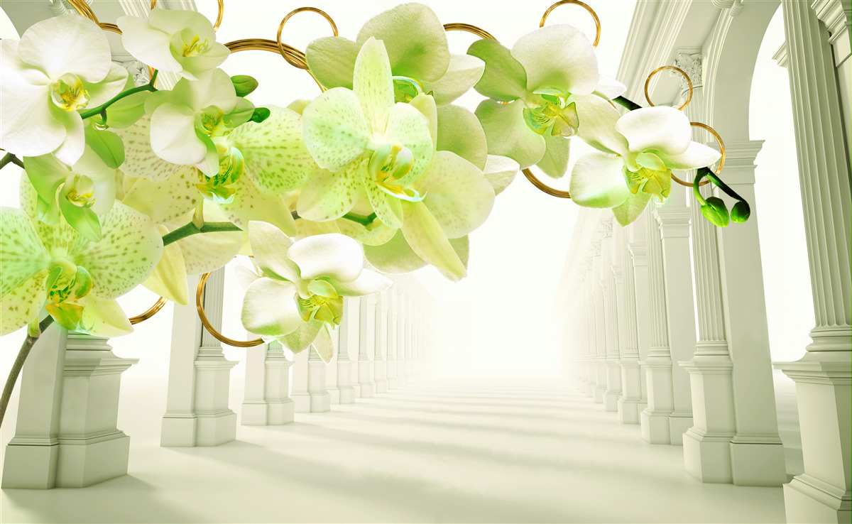 Fototapeta biało-zielone orchidee na tle białych kolumn