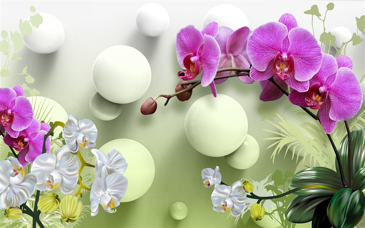 Fototapeta liliowe i białe orchidee