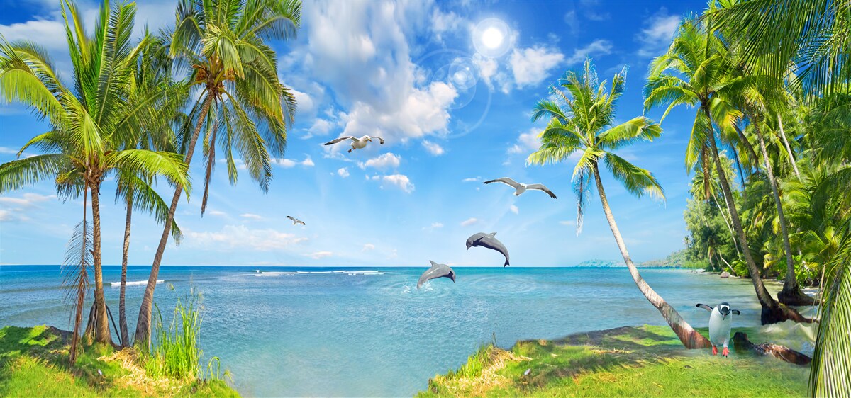 Fototapeta krajobraz plaży z delfinami