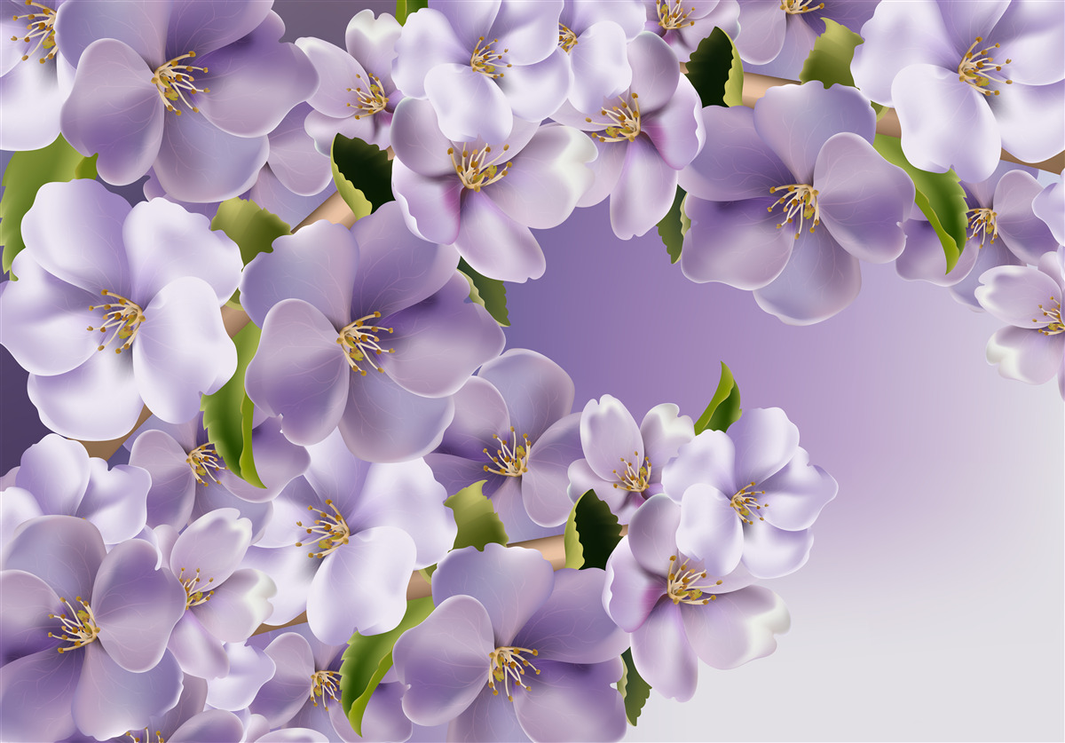 Fototapeta liliowe kolory delikatnej orchidei