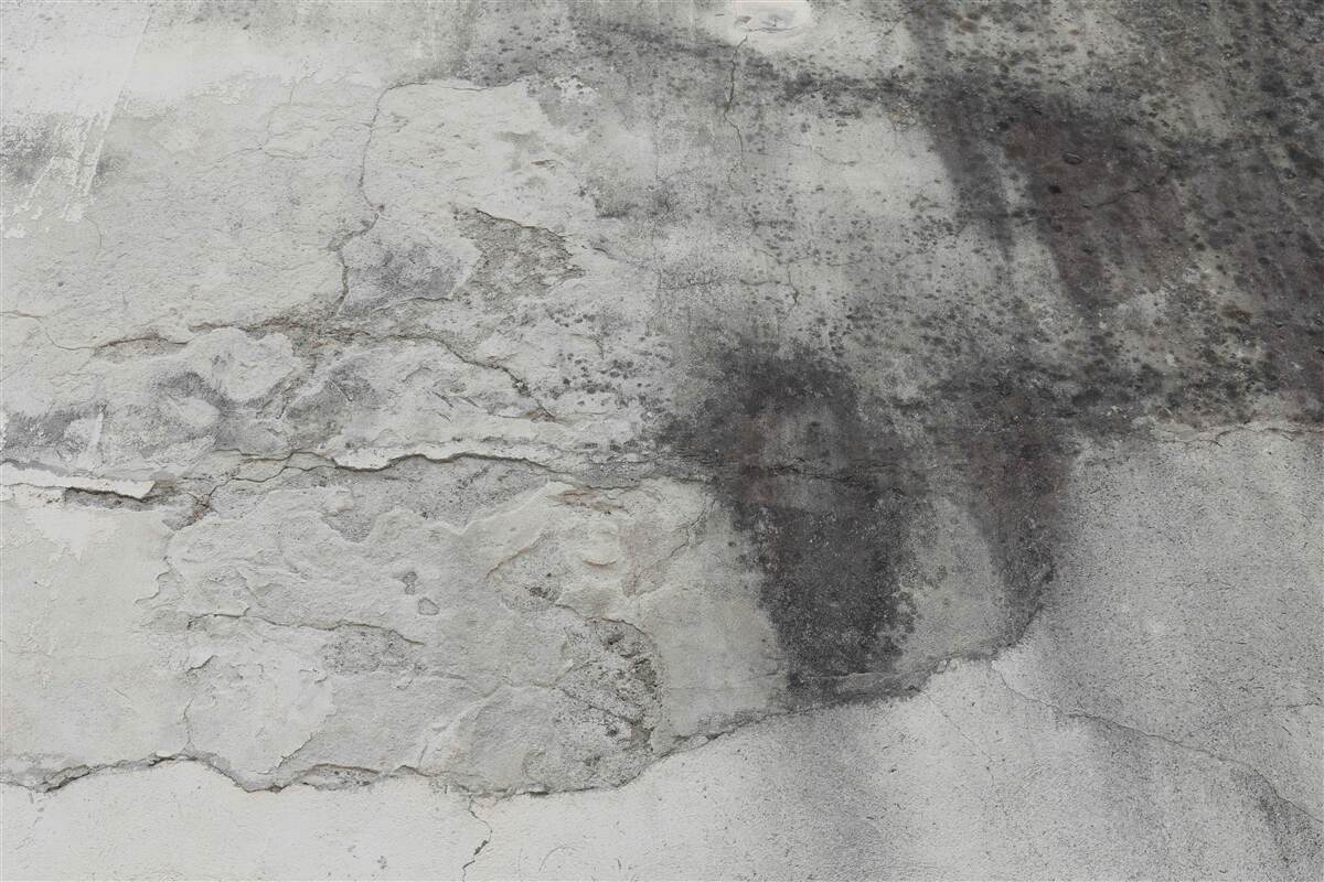 Fototapeta tekstura szarego błota