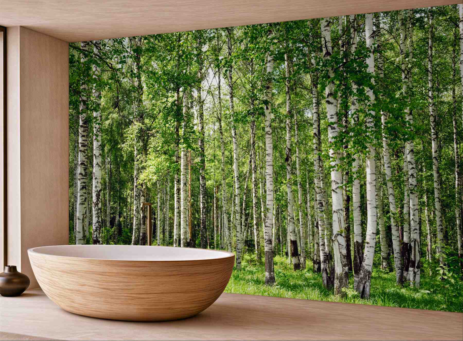 Fototapeta wysoki i smukły las brzozowy