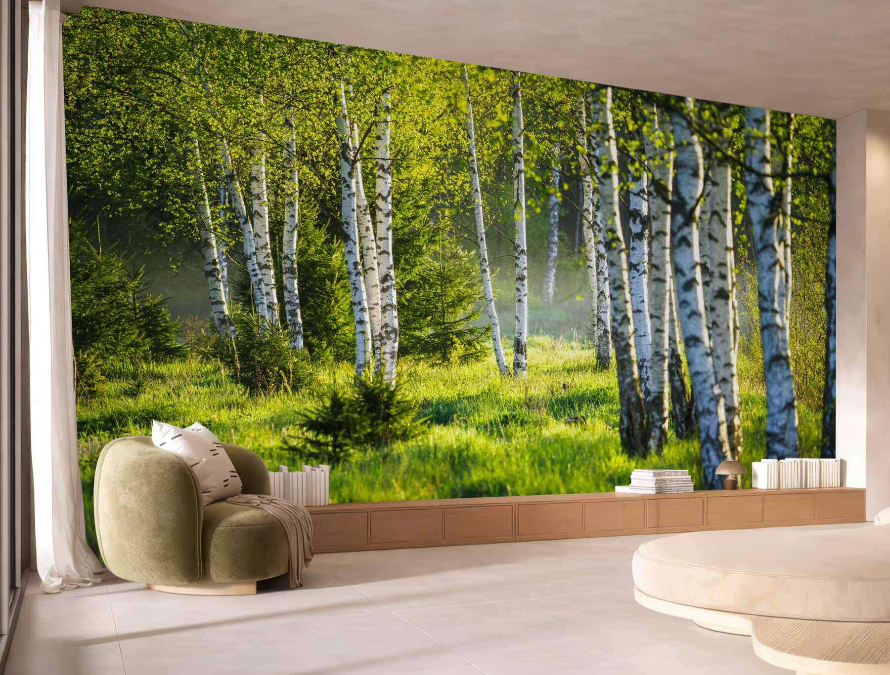 Fototapeta zielone łąki z smukłymi brzozami