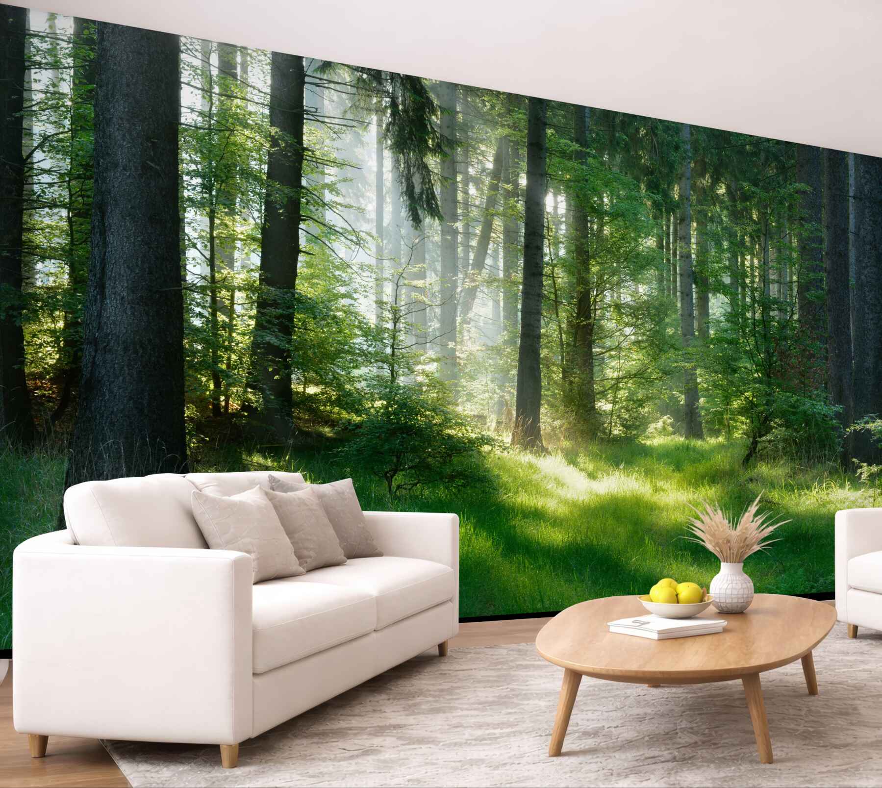 Fototapeta leśny poranek wśród zieleni