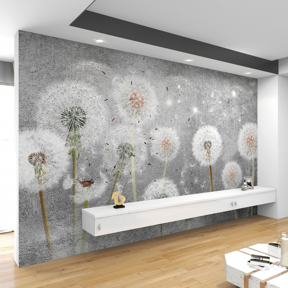 Fototapety Dmuchawce