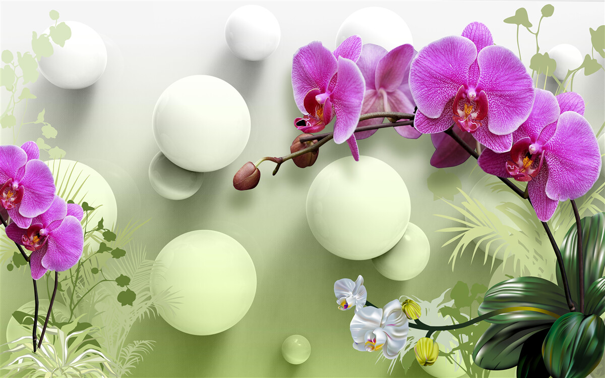 Fototapeta fioletowe i białe orchidee
