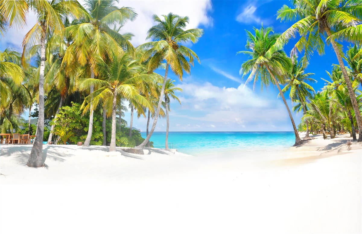 Fototapeta piaszczysta plaża z dostępem do oceanu