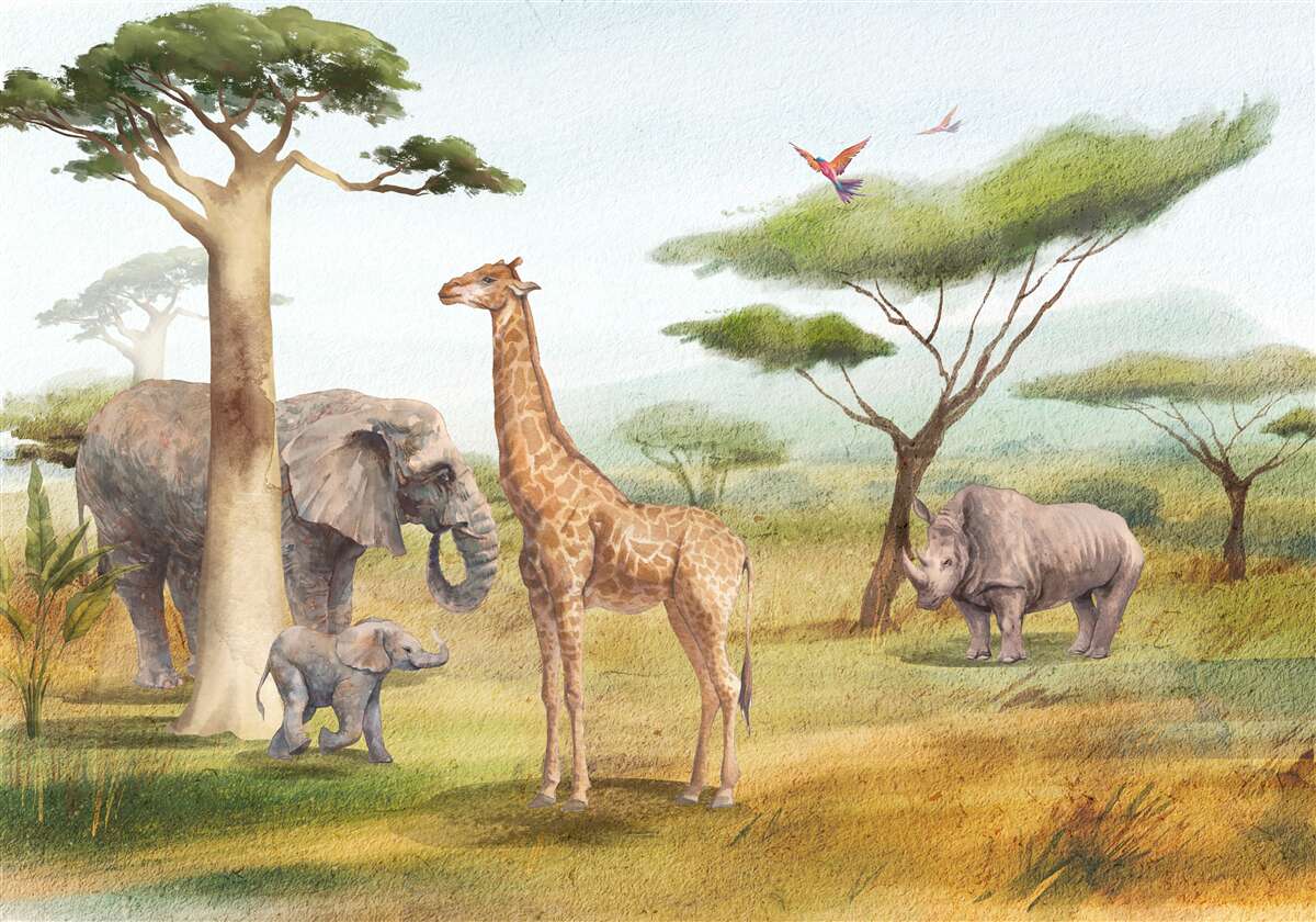 Fototapeta Afrykańskie zwierzęta na safari