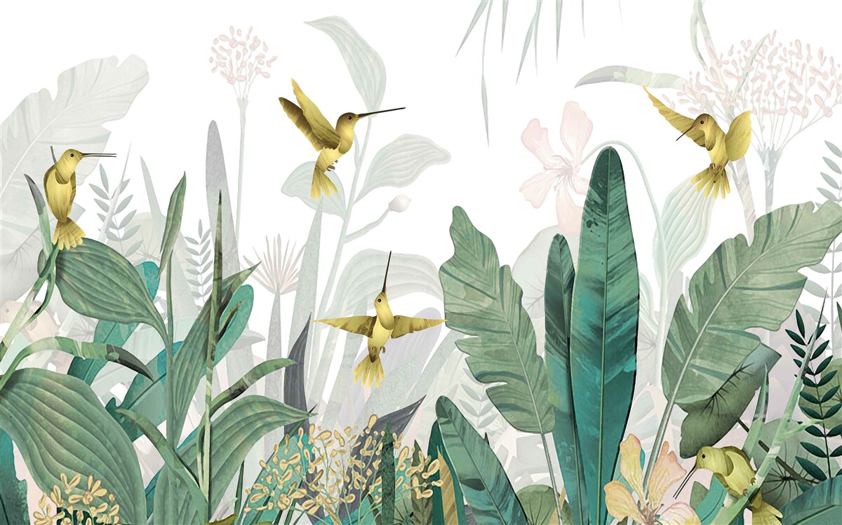 Fototapeta Kolibry