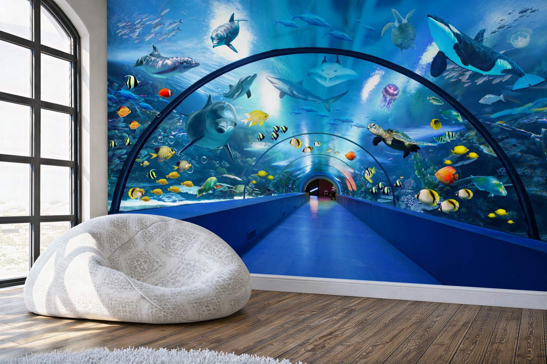 Fototapeta Oceanarium z delfinami