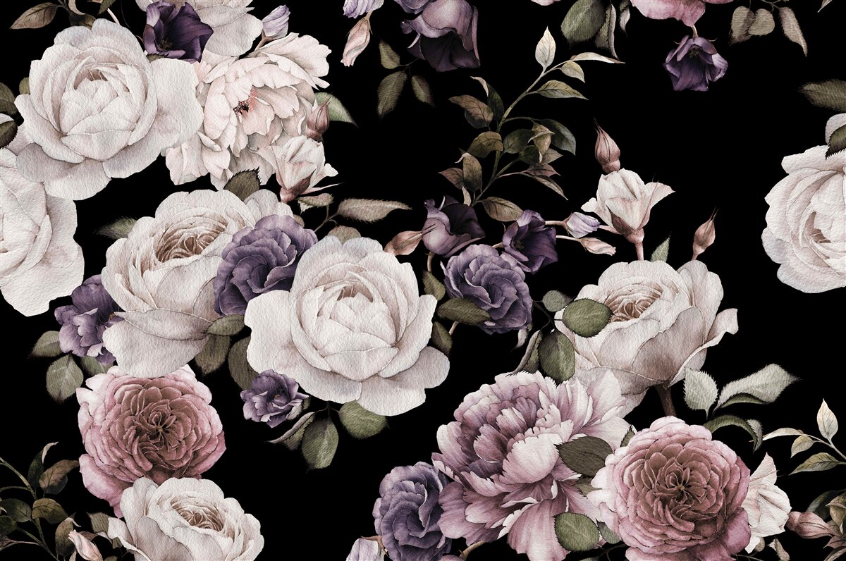 Fototapeta peonie na ciemnym tle
