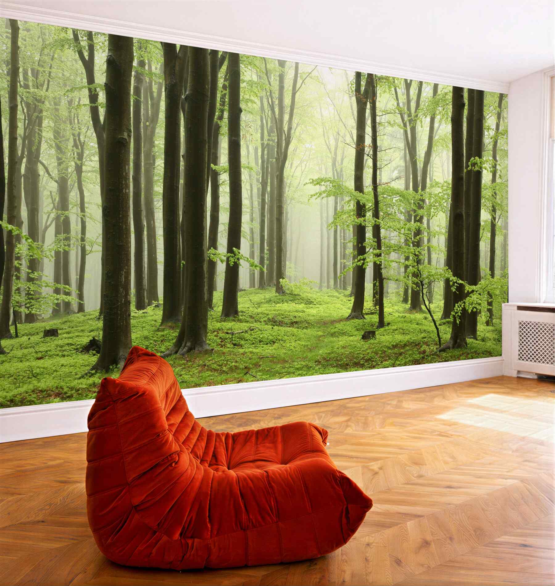 Fototapeta drzewa w gęstym lesie