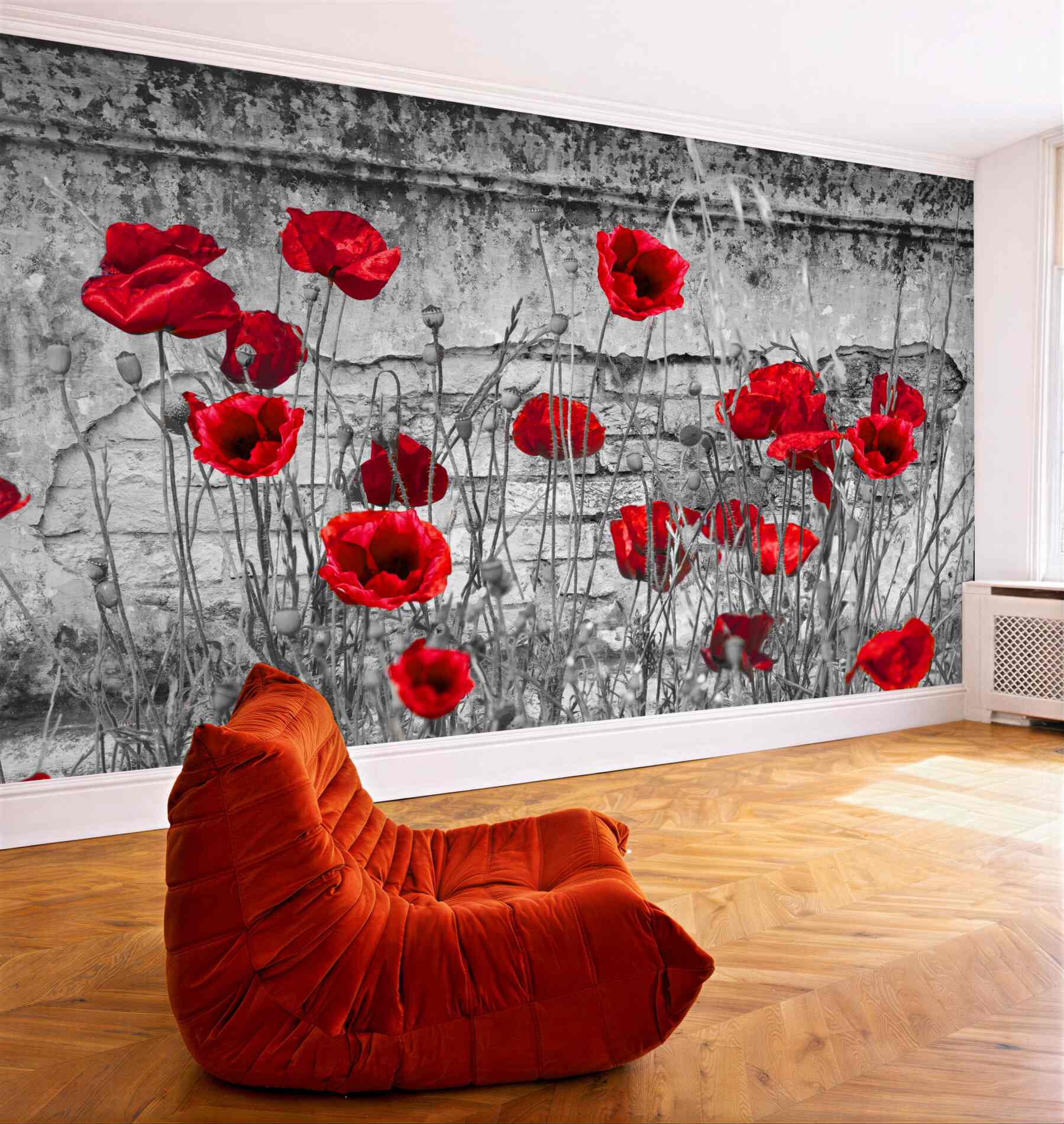 Fototapeta jasne czerwone maki na szarym tle