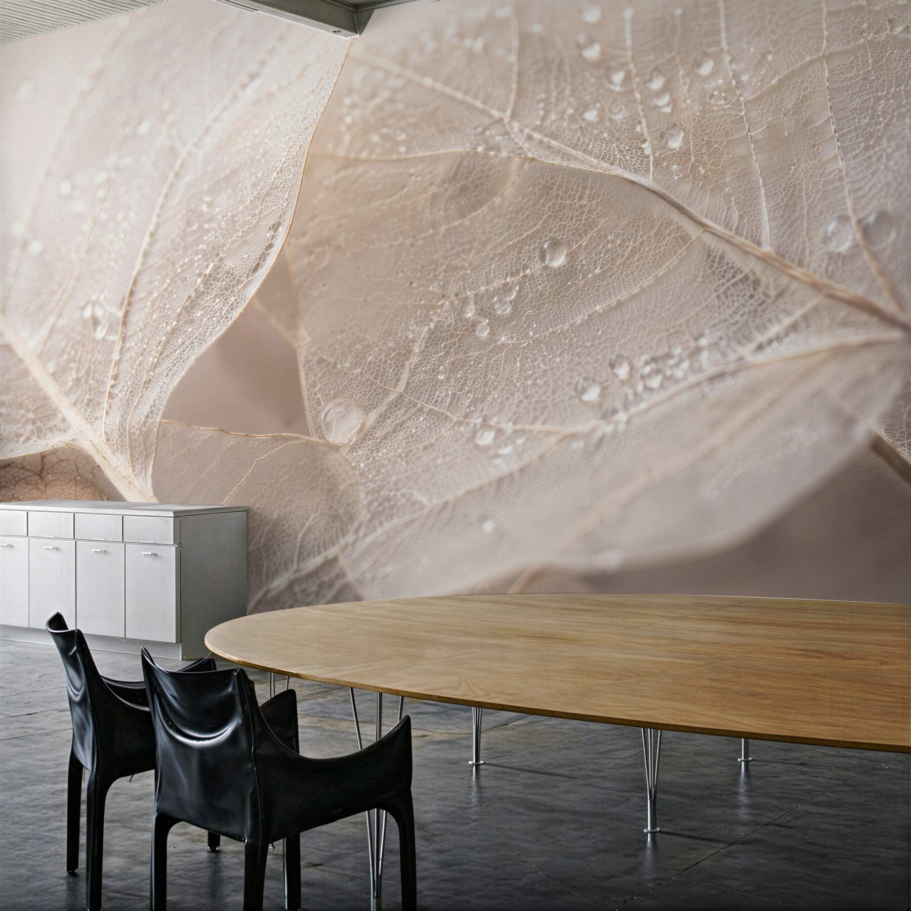 Fototapeta delikatne liście w kroplach rosy