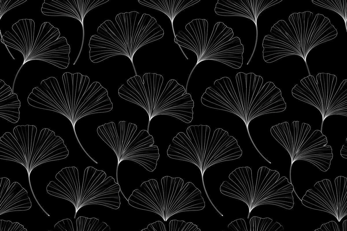 Fototapeta czarne liście gingko minimalizm