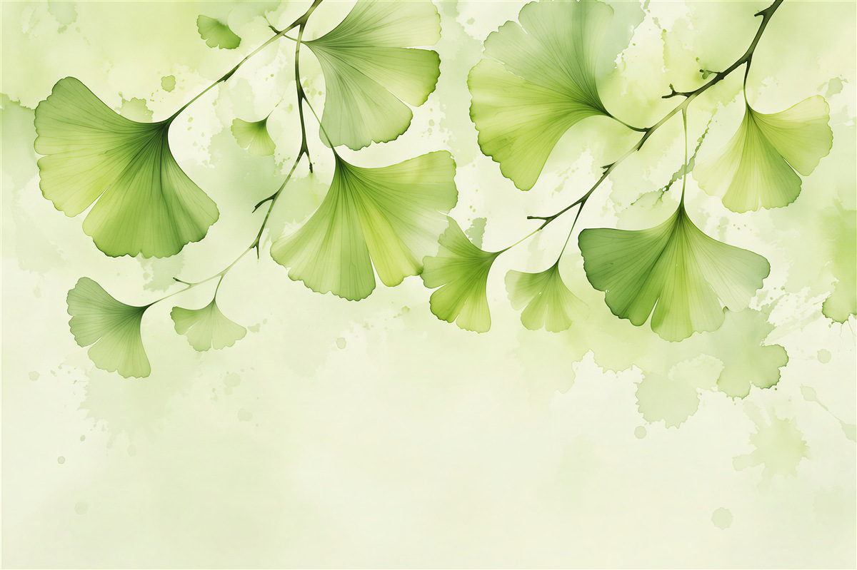 Fototapeta zielone liście ginkgo w akwareli