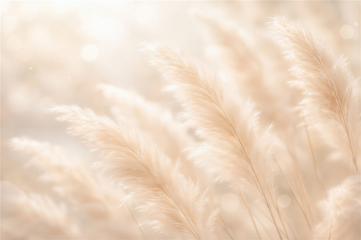 Fototapeta pudrowe trawy w świetlistej mgiełce